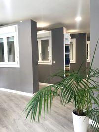 Exposicion Algorta 2